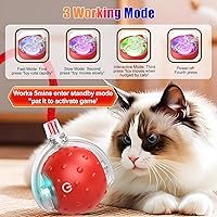 Vista 6 de Tiny Fetch Dog Toy, Tinyfetch Interactive Dog Cat Toys Balls with Birdsong, 360° Smart Automatic Rolling Electric Dog Ball Toy, Fast Moving Balls