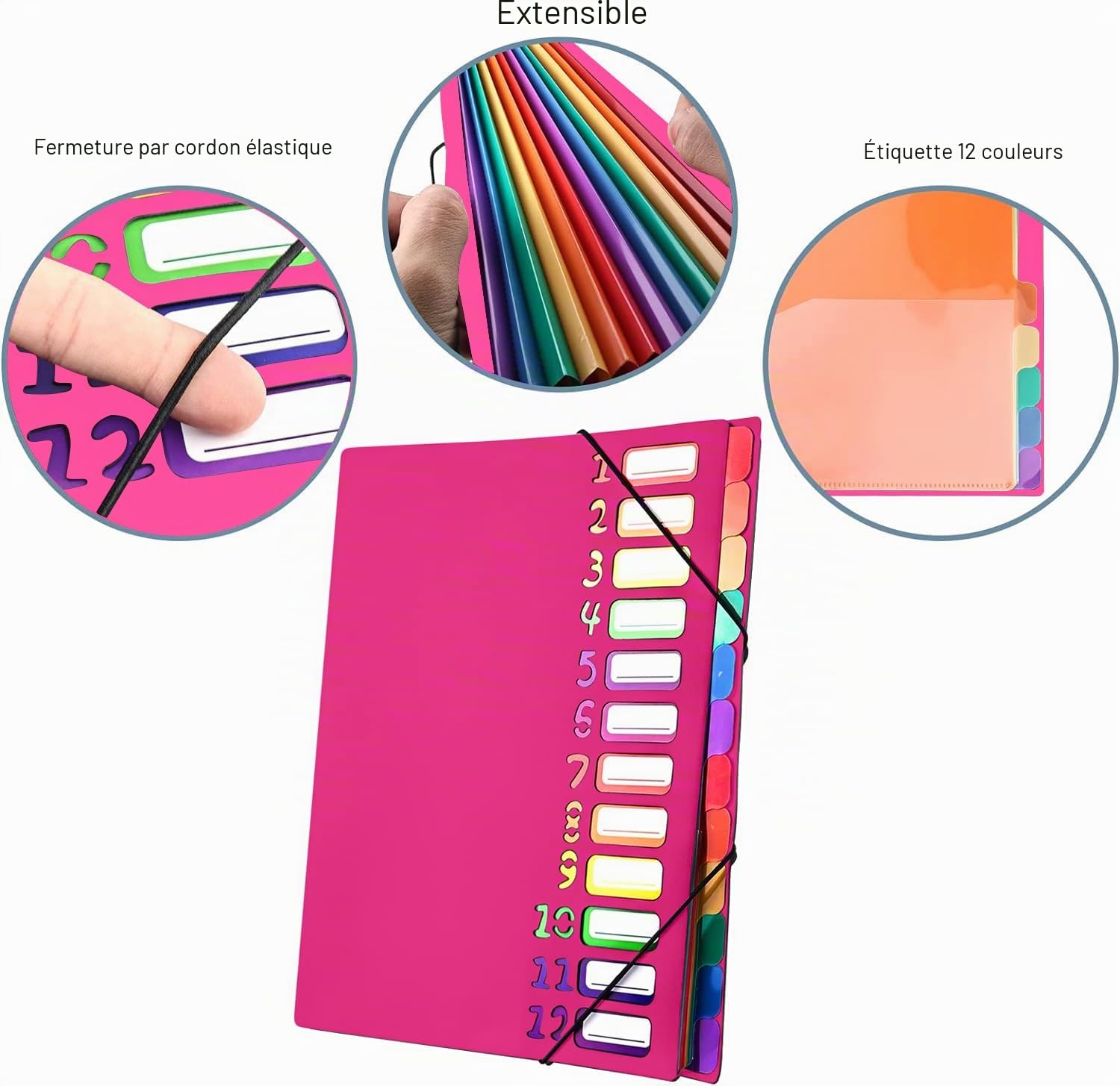Porte-documents A4, portable, avec 12 compartiments, en plastique polypropylène, avec élastique, étanche, pour l'école, les fournitures de bureau