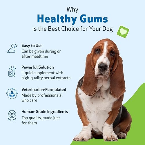 Miniatura 6 de Pet Wellbeing - Gomitas saludables para perros - Suplemento natural para encías dientes y aliento saludables contra la gingivitis del perro - 2