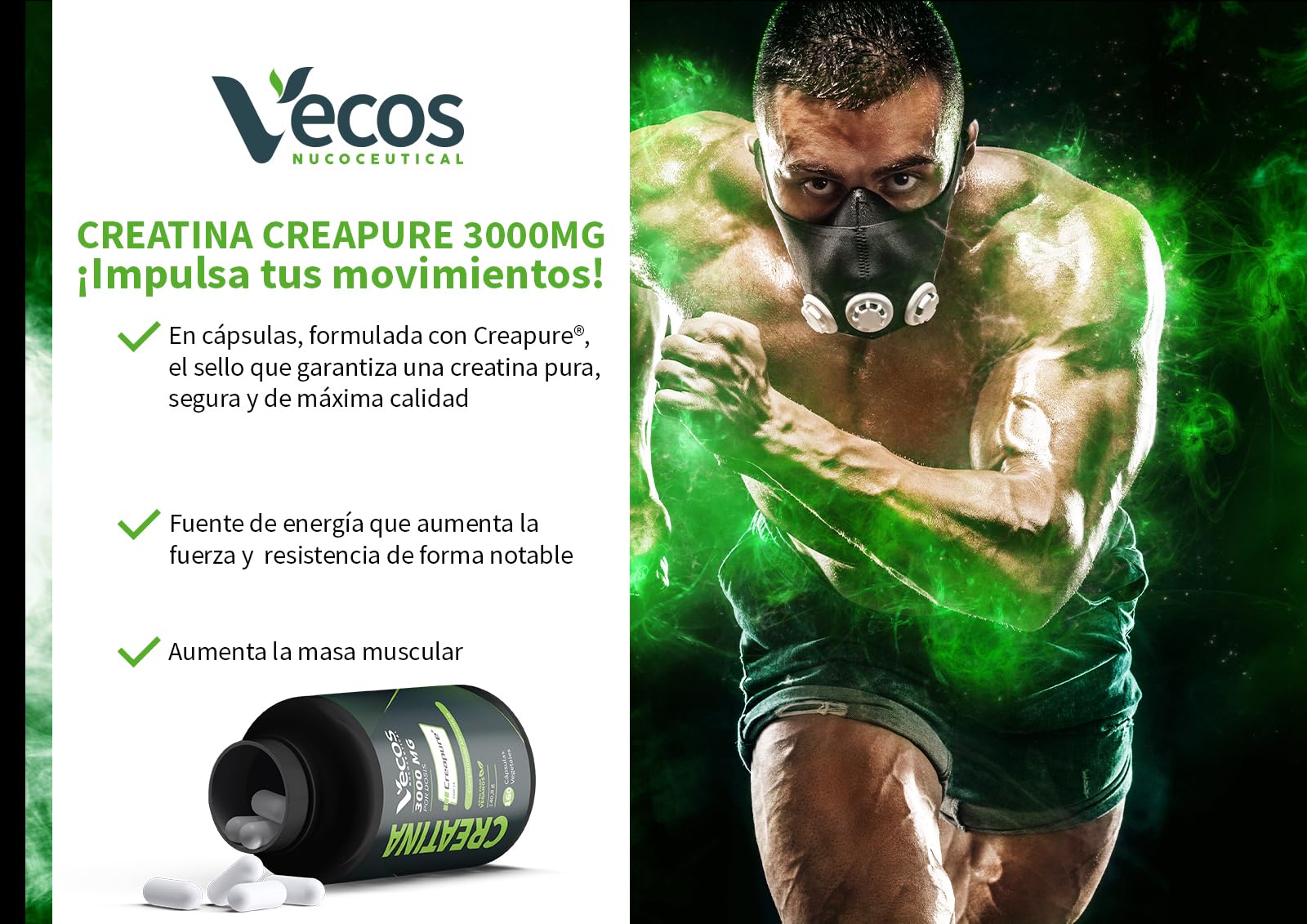 Creatina Monohidrato Creapure® 3000 mg en Cápsulas Vegetales – Alta Pureza Alemana para Fuerza, Energía y Recuperación (320 Cápsulas (2 Botes))