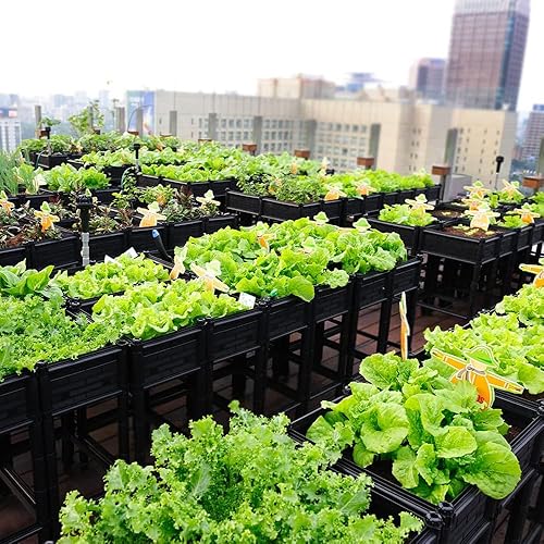 Miniatura 9 de City Farmer USA Cama de jardín elevada con patas, maceta elevada de 7 pulgadas de profundidad para patio al aire libre, balcón, contenedor de