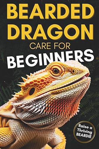 Bearded Dragon Care For Beginners: Complete Step-by-Step Guide to Habitat
