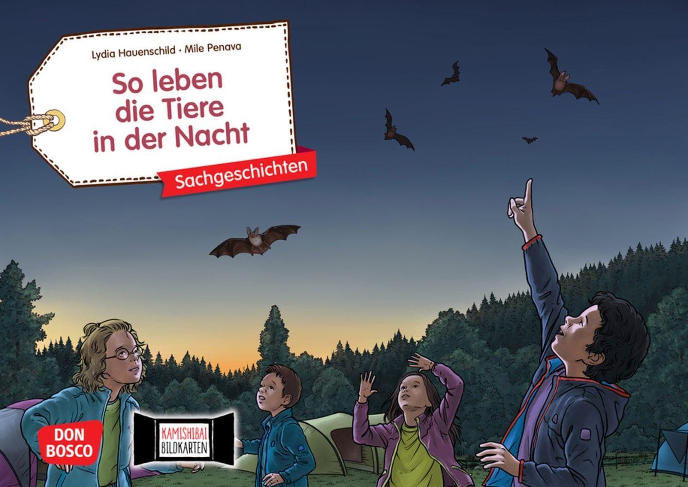 Kamishibai Starter Set zum Angebotspreis: Komplettes Erzähltheater + 3 Bildkartensets + Anleitung für den schnellen Einstieg. Geeignet für Kinder von ... (Zubehör für das Erzähltheater Kamishibai)
