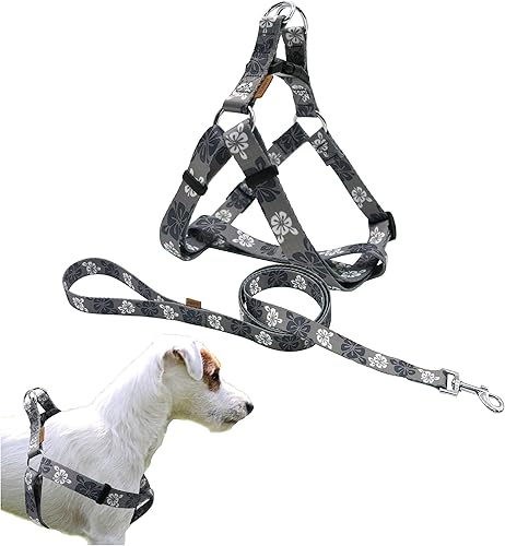 Juego de arnés y correa halter para perro, bonitos patrones florales, arnés suave y ajustable, fácil de poner, antiestrangulamiento, perfecto para