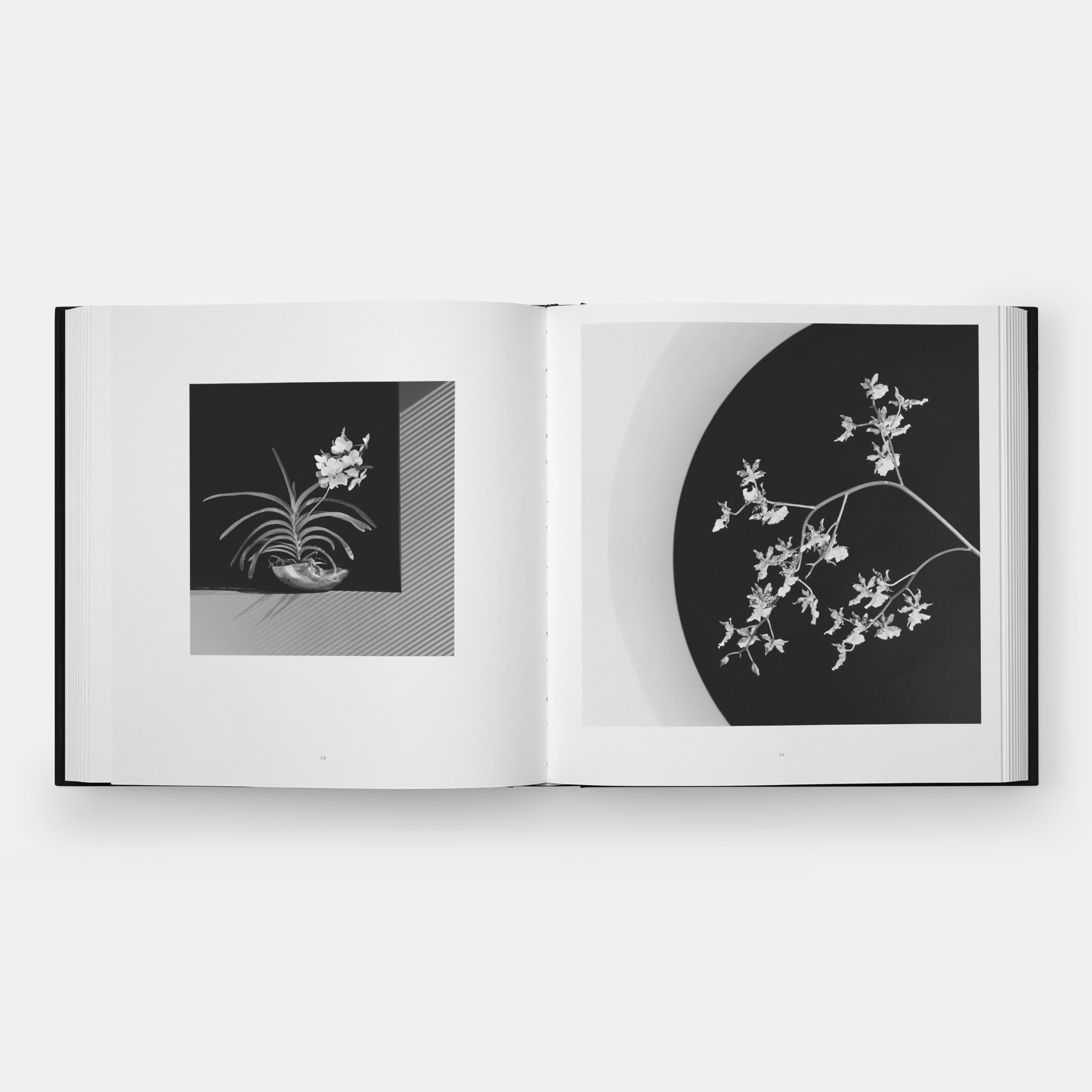 Flora: Les Fleurs de Mapplethorpe