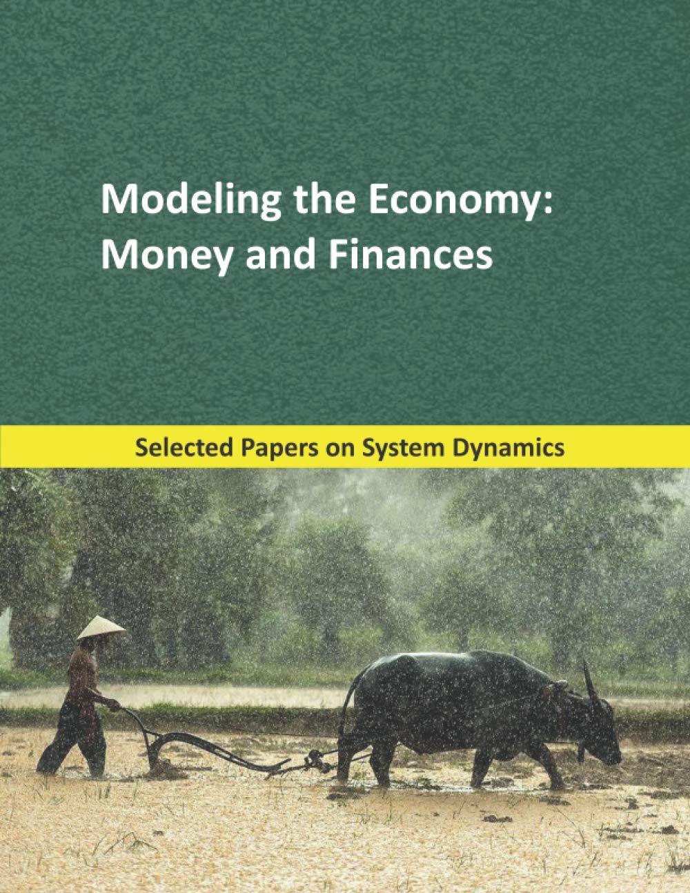Modeling the Economy: Money and Finances: Selected papers on System Dynamics. A book written by experts for beginners