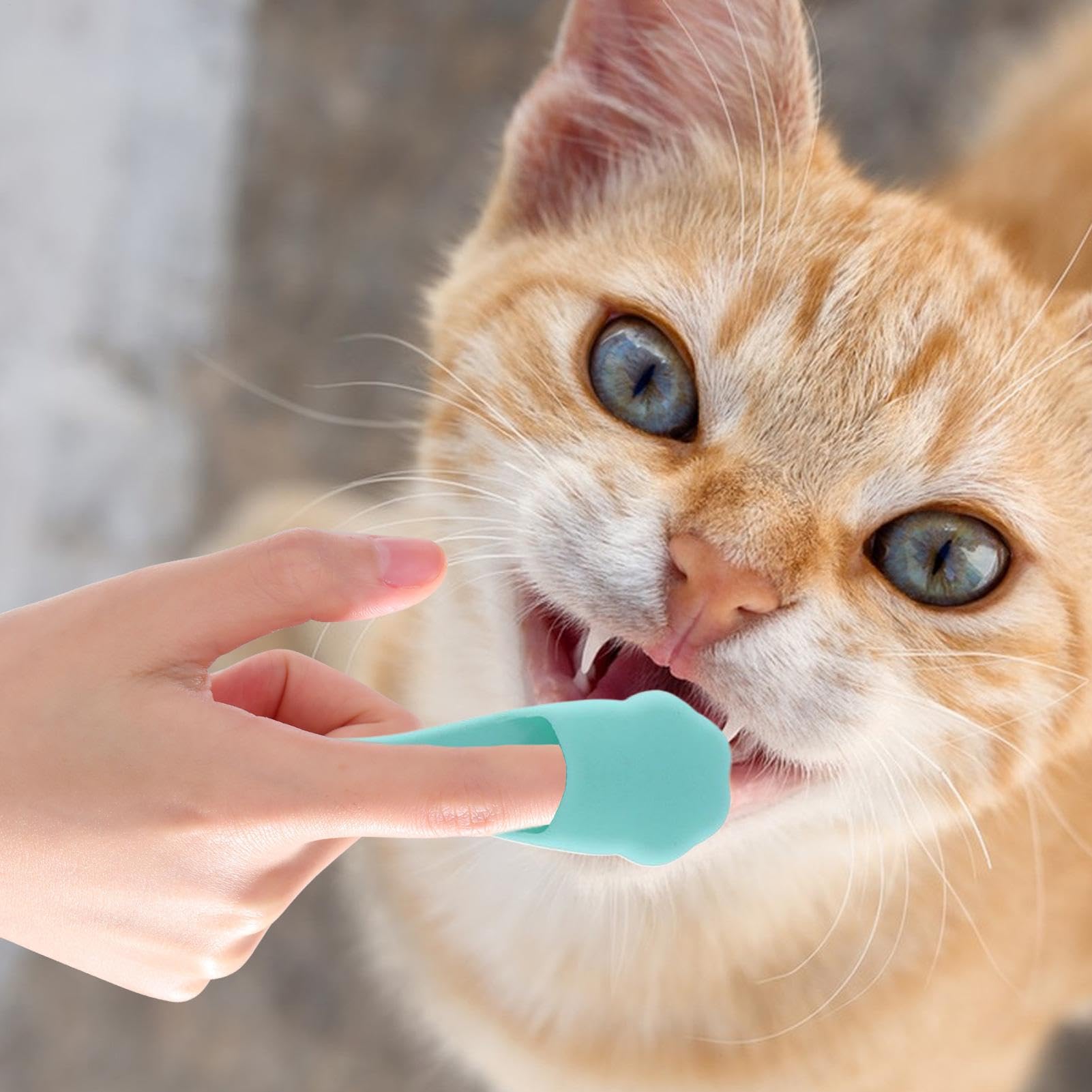 Spazzolino Da Denti Per Cani, Spazzolino Da Denti Con Dita Gatto - Strumento Di Pulizia Orale Di Gattino,Spazzuccio Da Denti Dita A Setole Morbide Per La Pulizia Dei Denti Da Compagnia E La Cura Orale