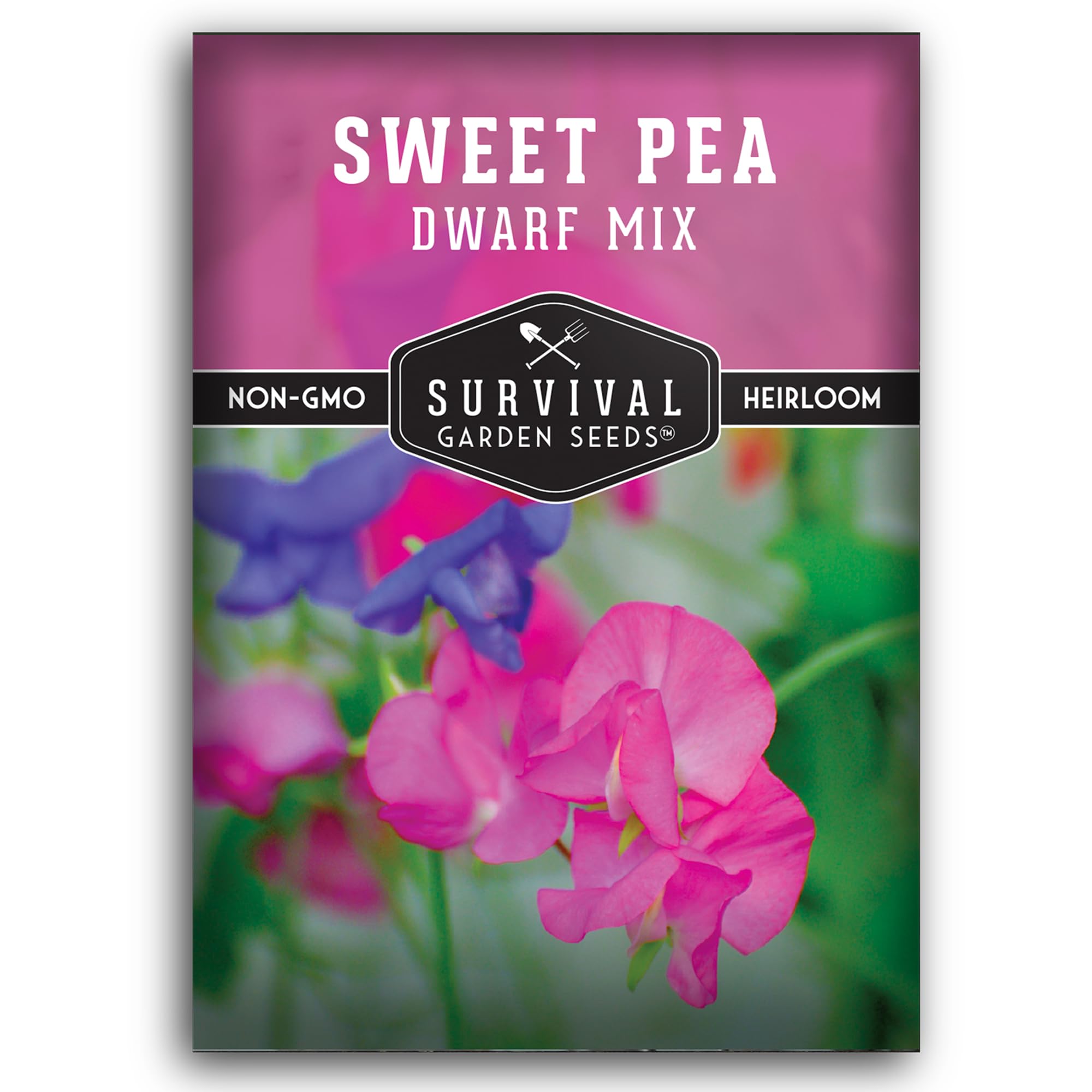 みんと出品　sweet garden Buy Crimson Sweet Watermelon Seeds for Planting | High