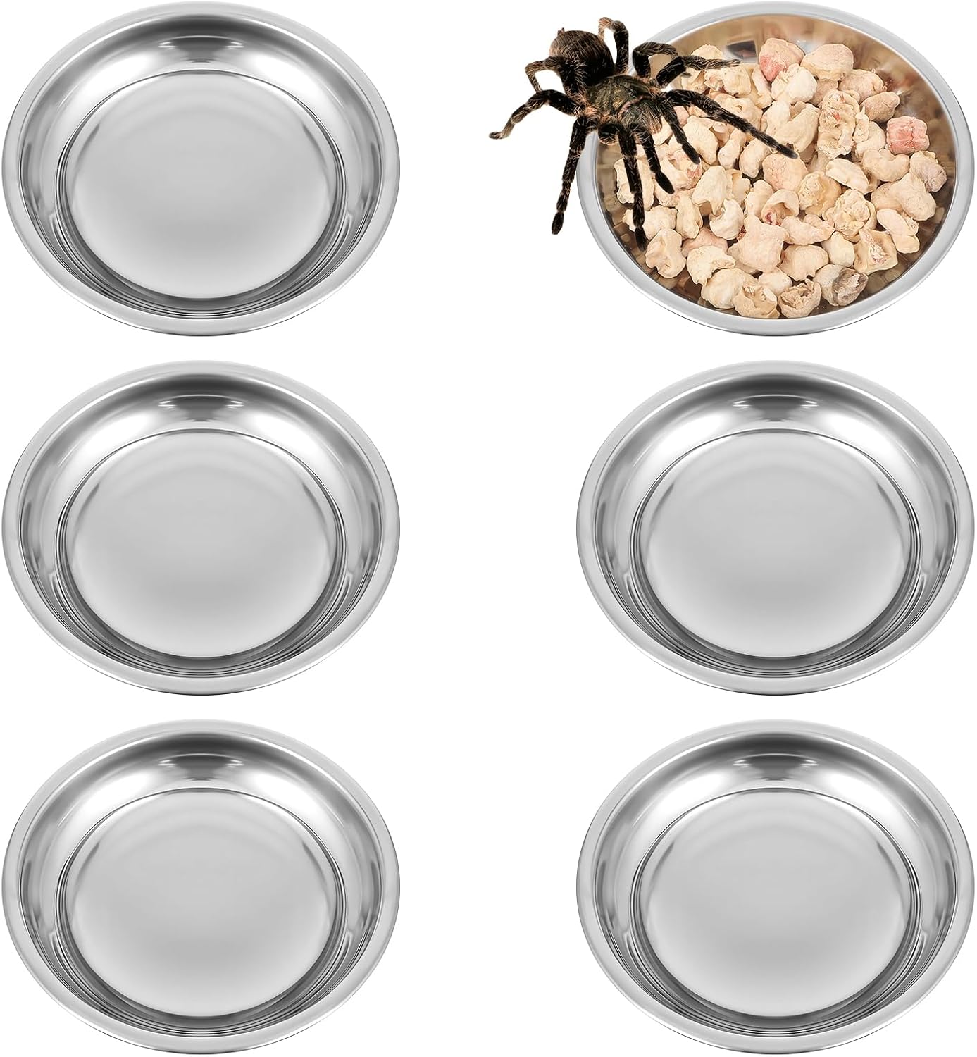 6 Pcs Hermit Crab Food and Water Bowl, Hermit Crab Small Water Dish Crested Gecko Food Dish Tiny Stainless Steel Reptile Feeding Dish for Hermit Crab Snail Gecko Insect