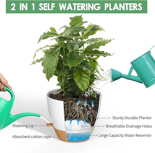 Miniatura 3 de ZMTECH 1 paquete de macetas de 12 pulgadas con borde de riego automático con agujeros de drenaje y platillo extraíble, maceta de plástico para