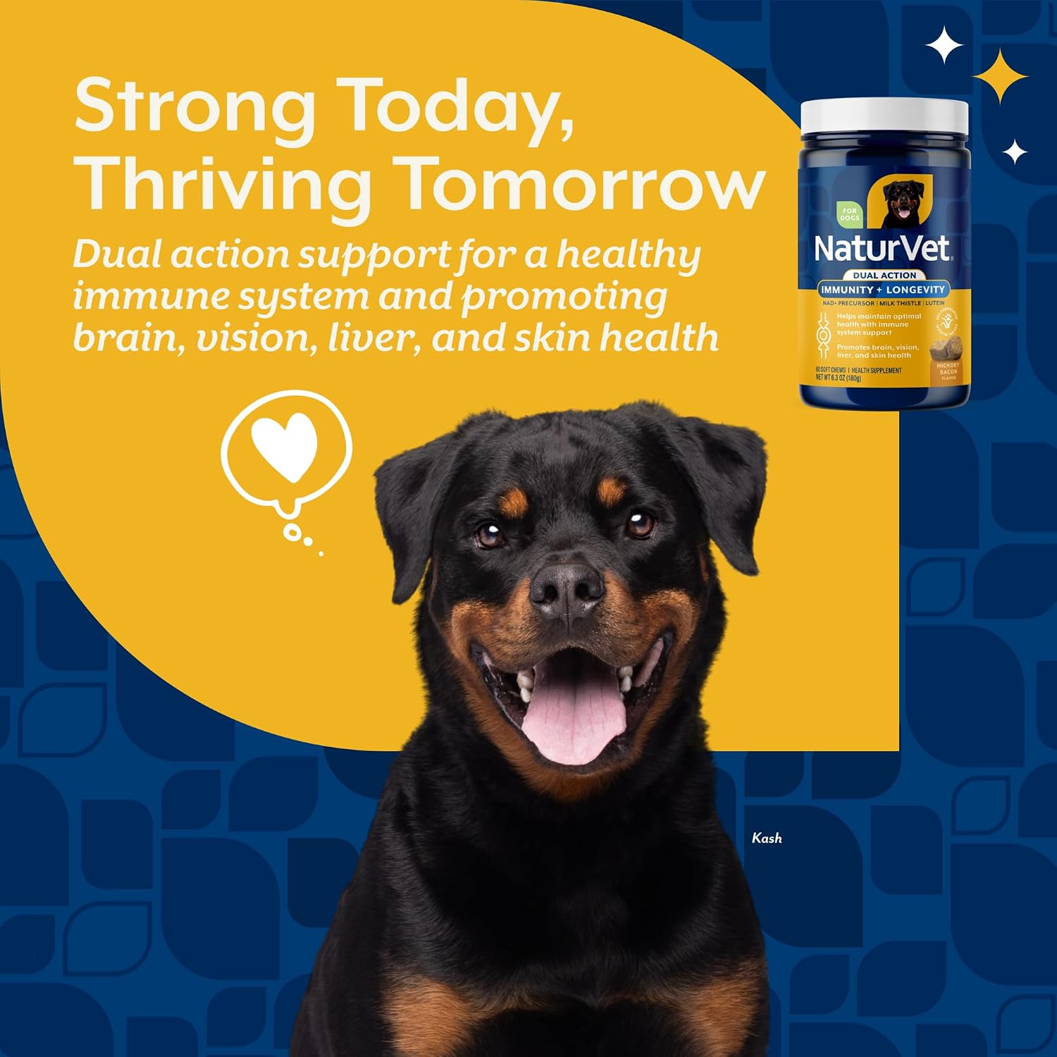 NaturVet Immunity + Longevity Dual Action Supplement for Dogs, Helps Support Immune Response & Cellular Health with NAD+ Precursor, Milk Thistle, Lutein, & Zinc, 60 Hickory Bacon Soft Chews