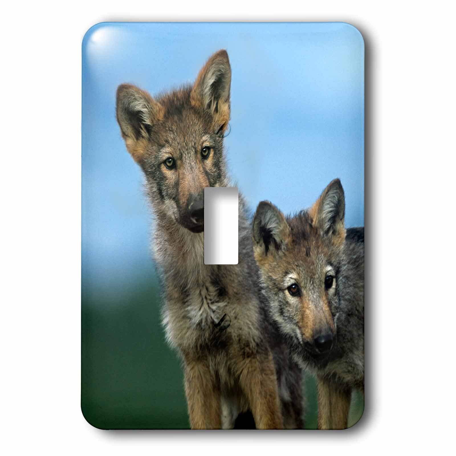 Interrupteur à baïonnette 3dRose Gray Wolf Pups Montana
