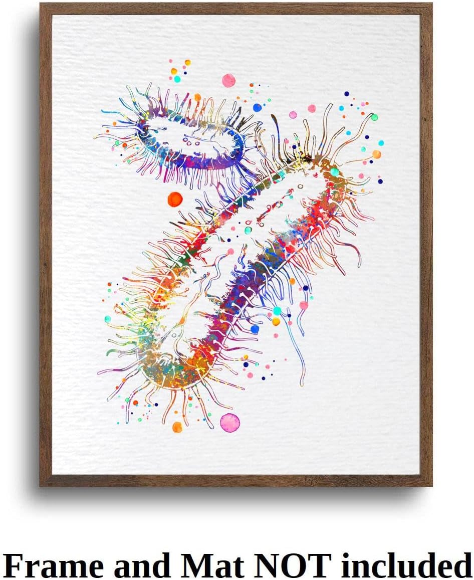 Dignovel Studios 11X14 Unframed Escherichia Coli Watercolor Art Print Medical Art Microbiologist Wall Art Bioscience Microbiology Virus Biology Wall Hanging Decor DN899