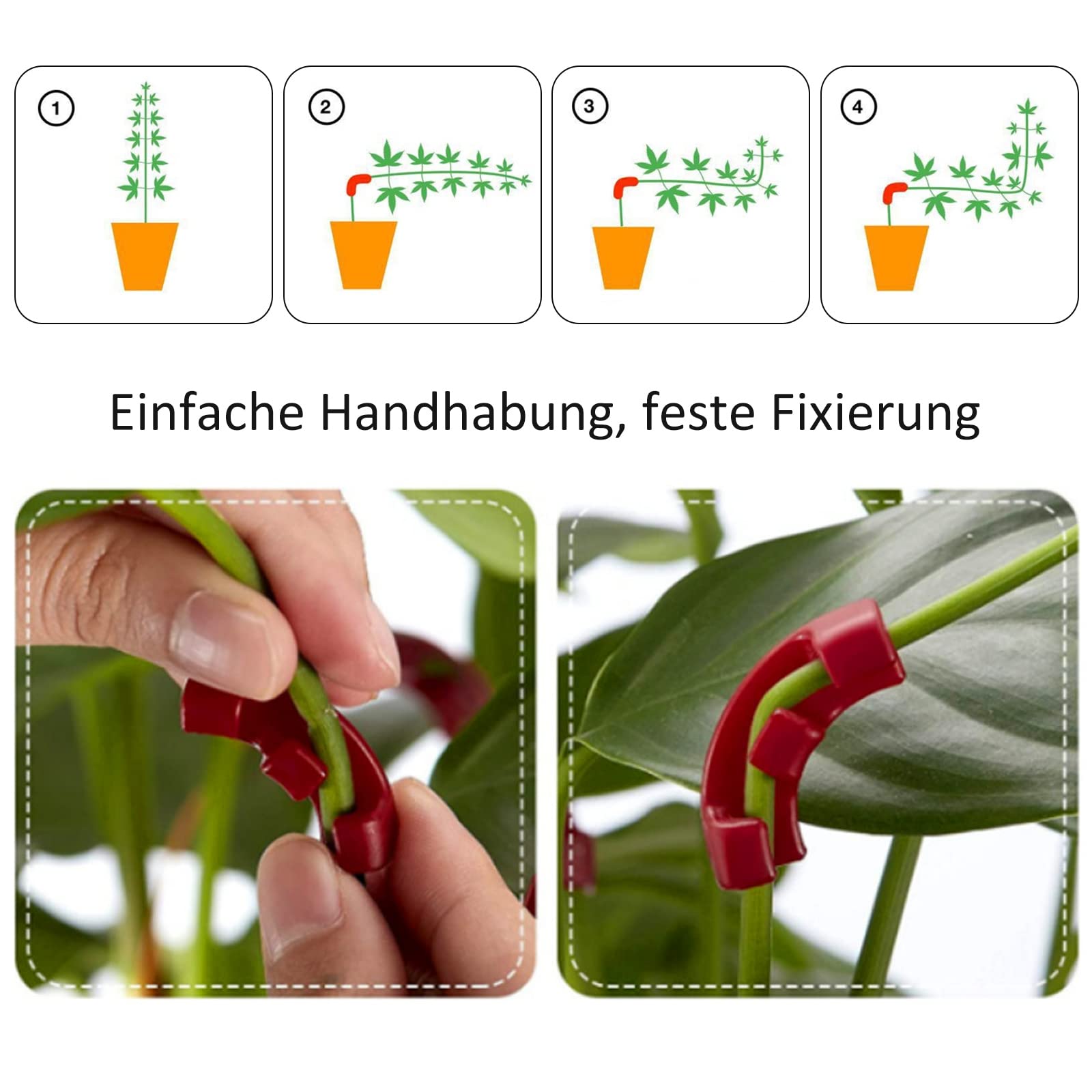 3 Pezzi mollette per Piante, Supporti per Piante, Piante da Giardino Clip, Amici