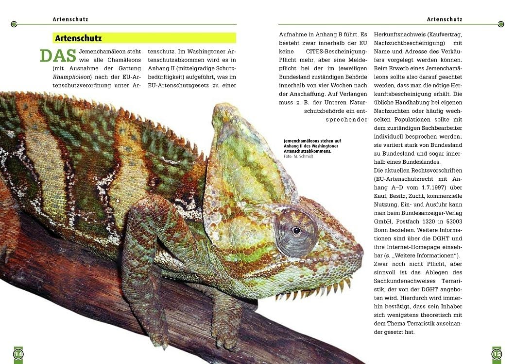 Das Jemenchamäleon: Chamaeleo calyptratus (Buchreihe Art für Art Terraristik)