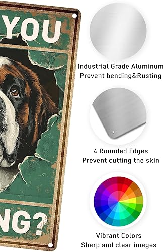 Miniatura 6 de Letrero de hojalata divertido con texto en inglés "Saint Bernard Dog Are You Pooping" para decoración de pared de baño, inodoro, 12 x 8 pulgadas