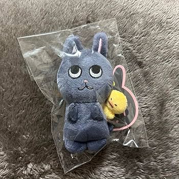 Amazon.co.jp: riize ウォンビン バレンタインぬい 토냥덕