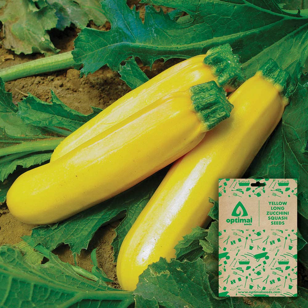 Optimal SeedsYellow Long Zucchini Squash Vegetable Seeds