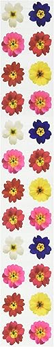 Paper House Productions ST-2106E Lot de 6 Autocollants Photo véritables Stickypi