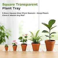 Vista 7 de Paquete de 20 Bandejas Cuadradas para Plantas de 6 Pulgadas, Bandejas de Plástico Transparentes para Plantas, Bandeja de Drenaje para Macetas