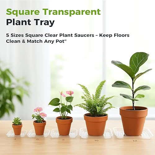 Miniatura 7 de Paquete de 20 platillos cuadrados de plástico de 6 pulgadas para plantas, bandeja de drenaje transparente para macetas para atrapar agua, a granel