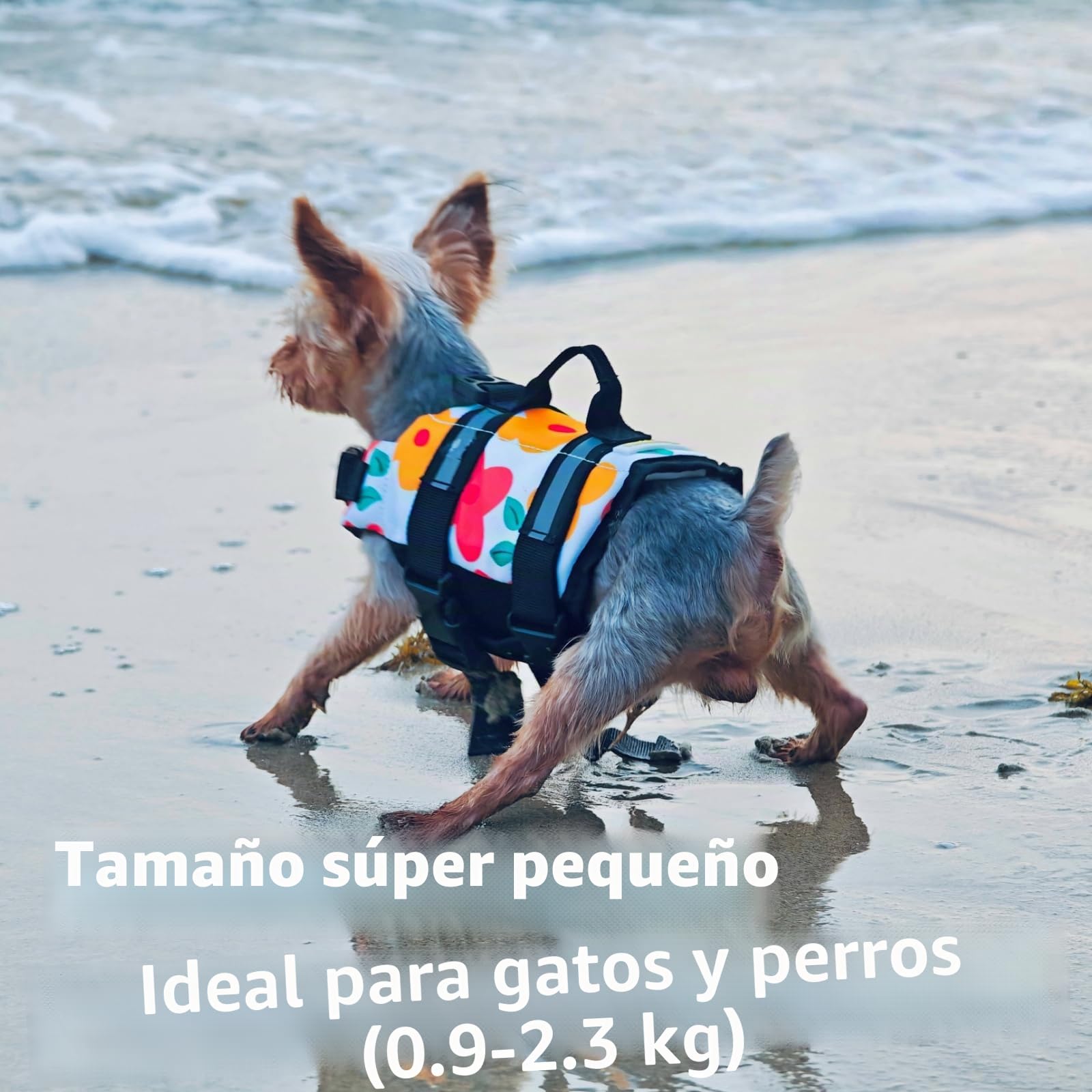 Teacup Chaleco salvavidas para perros | Chaleco salvavidas para cachorros pequeños | Ayuda de natación con asa y bandas reflectantes | Traje de baño para perros y gatos de recién nacidos y