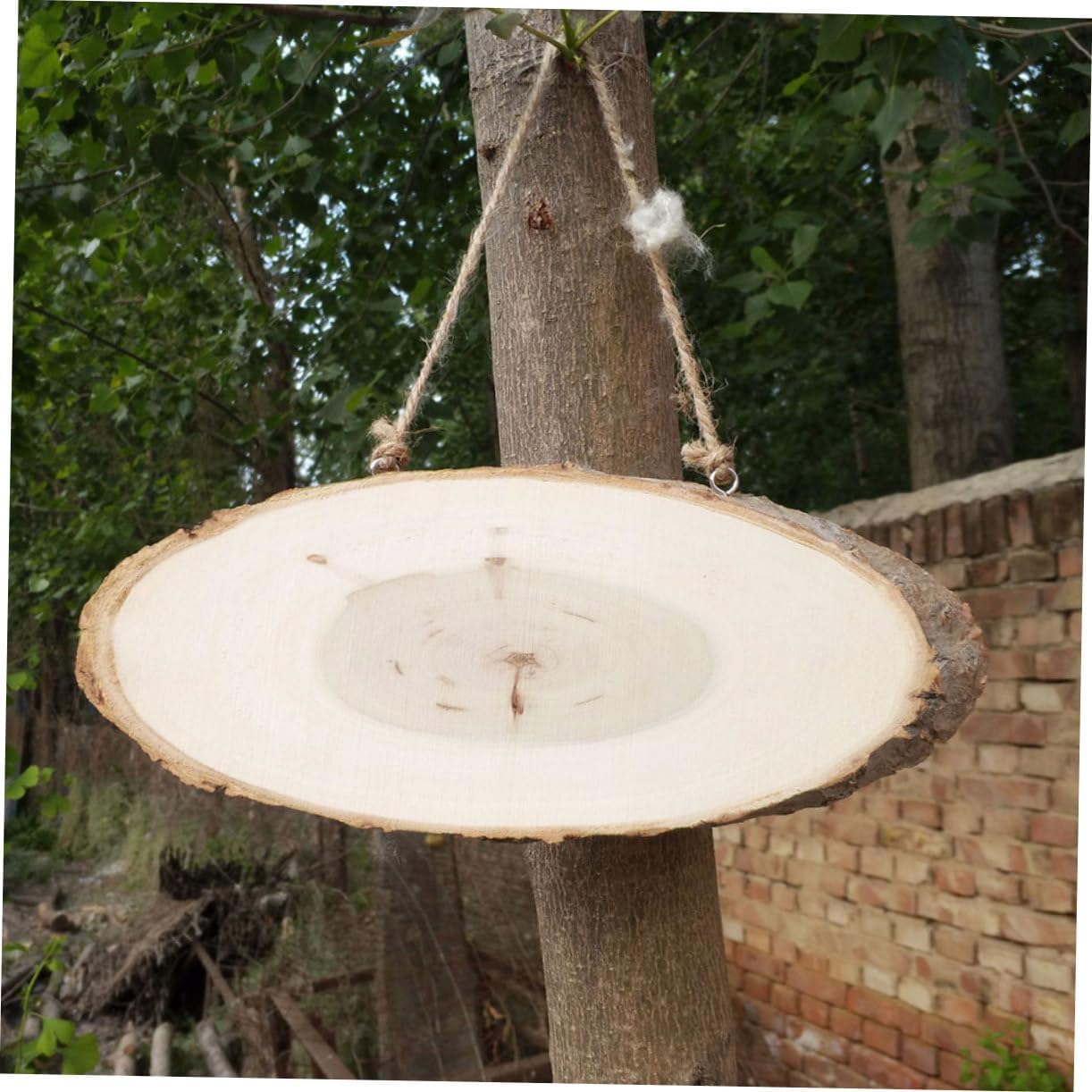 5 Pcs Oval Pine Wooden Hanging Board for DIY Display