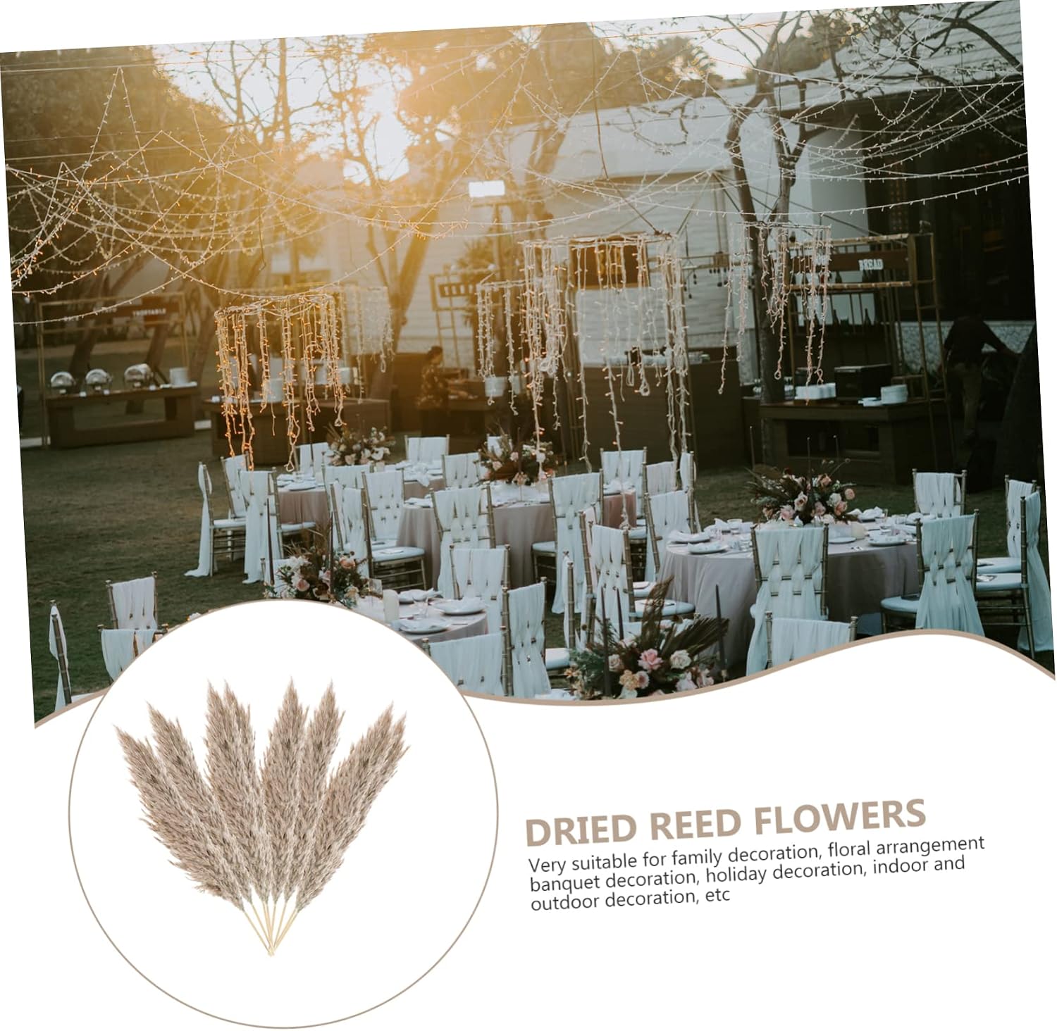 DECHOUS 3 Sets Preserved Reed Flower Wedding Flowers Bouquets Norse ...