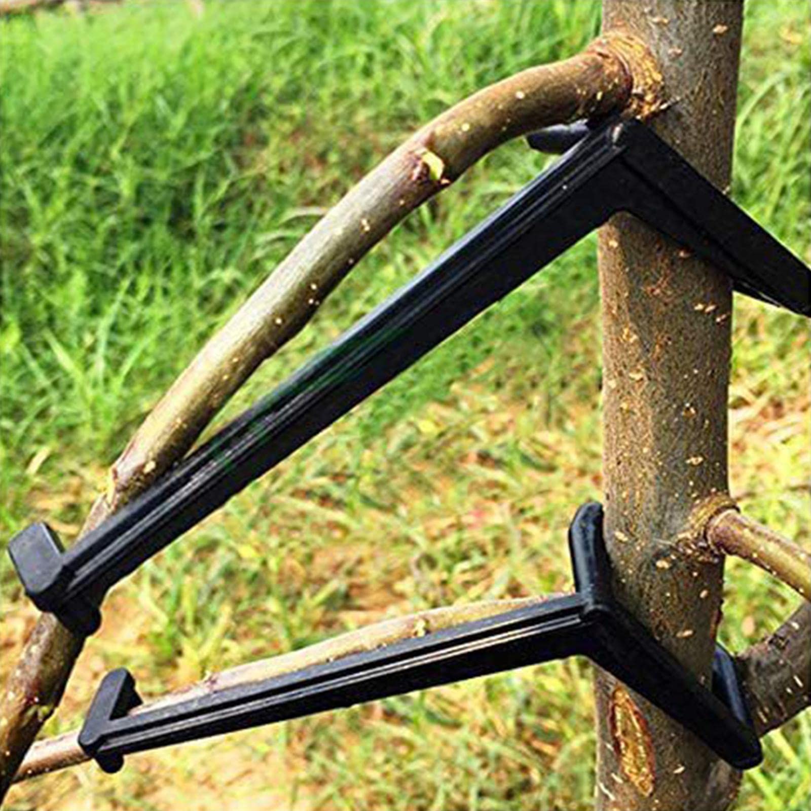 Generic 10Pcs Fruit Tree Branches Holder Plant Support Fruit Branch Spreader Tree'-image-20