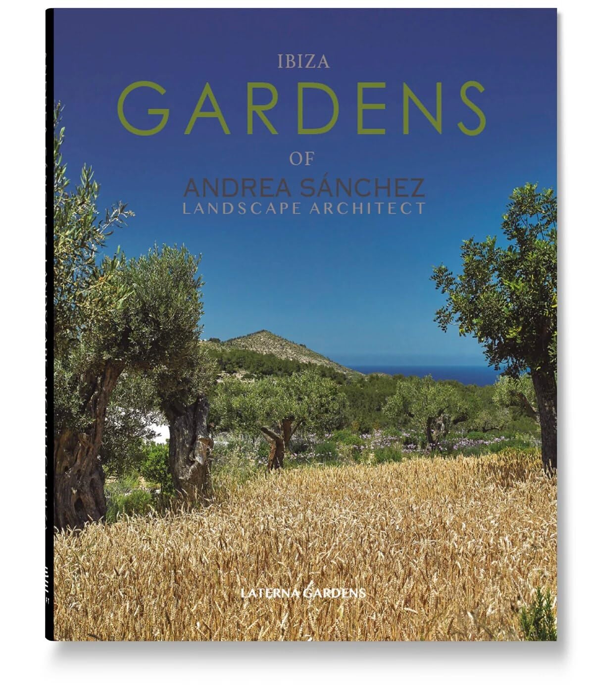 Ibiza Gardens: Landscape Architect