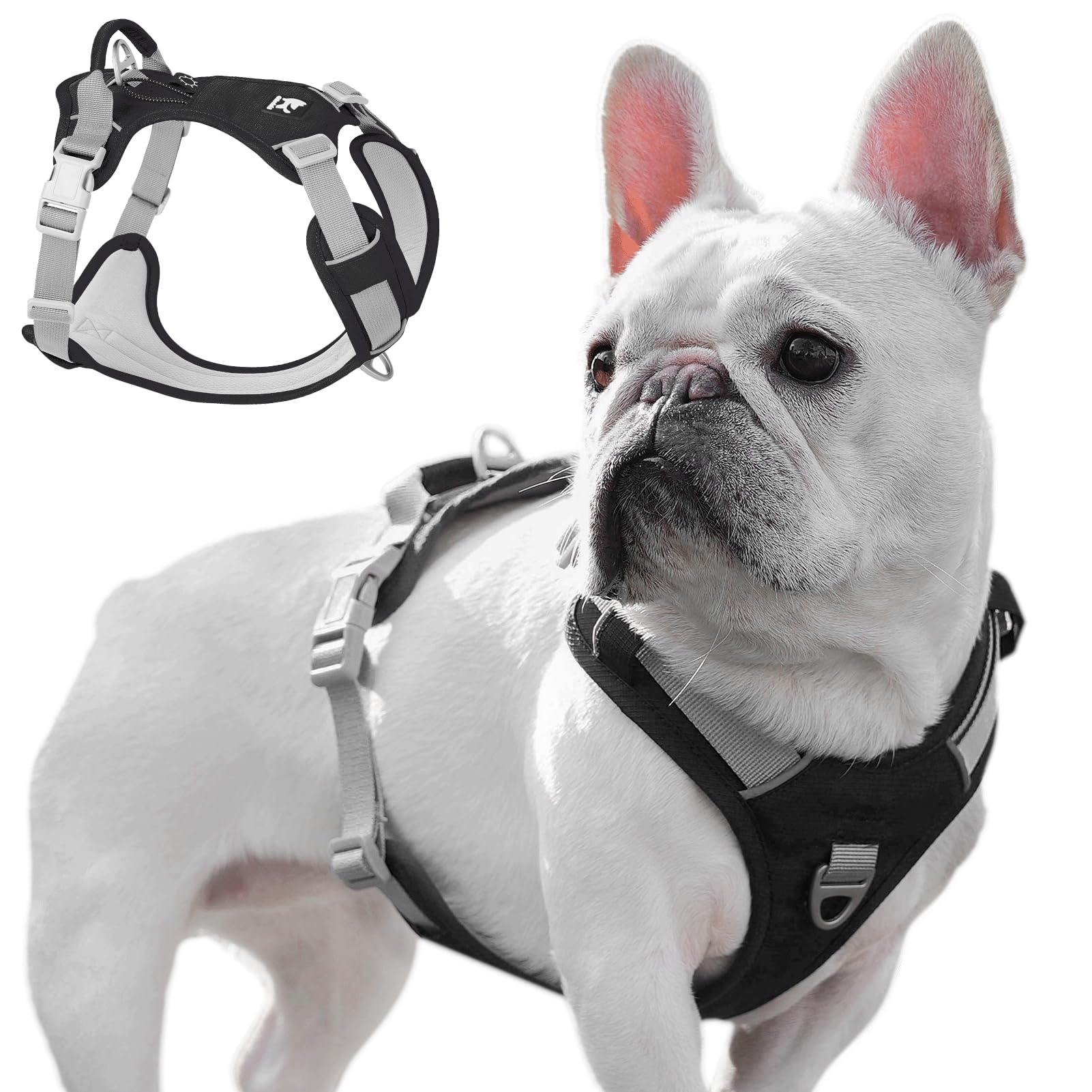 Harnais anti traction chien arnet Y forme noir taille S pour chiot