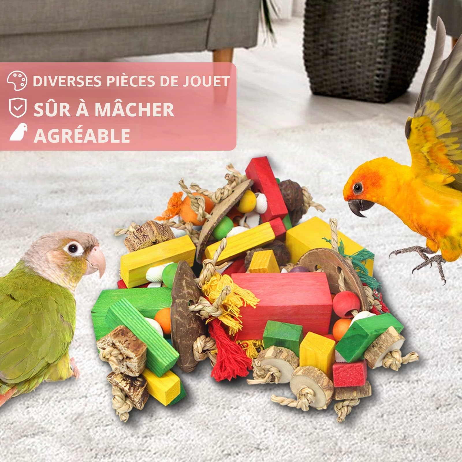 Jouets pour perroquets Jouets pour perruches et Accessoires, Jouets à mâcher pour Oiseaux avec Noix Naturelles, Jouets de Cockatiel Blocs en Bois colorés pour perruches Gris d'Afrique Amazone Mini