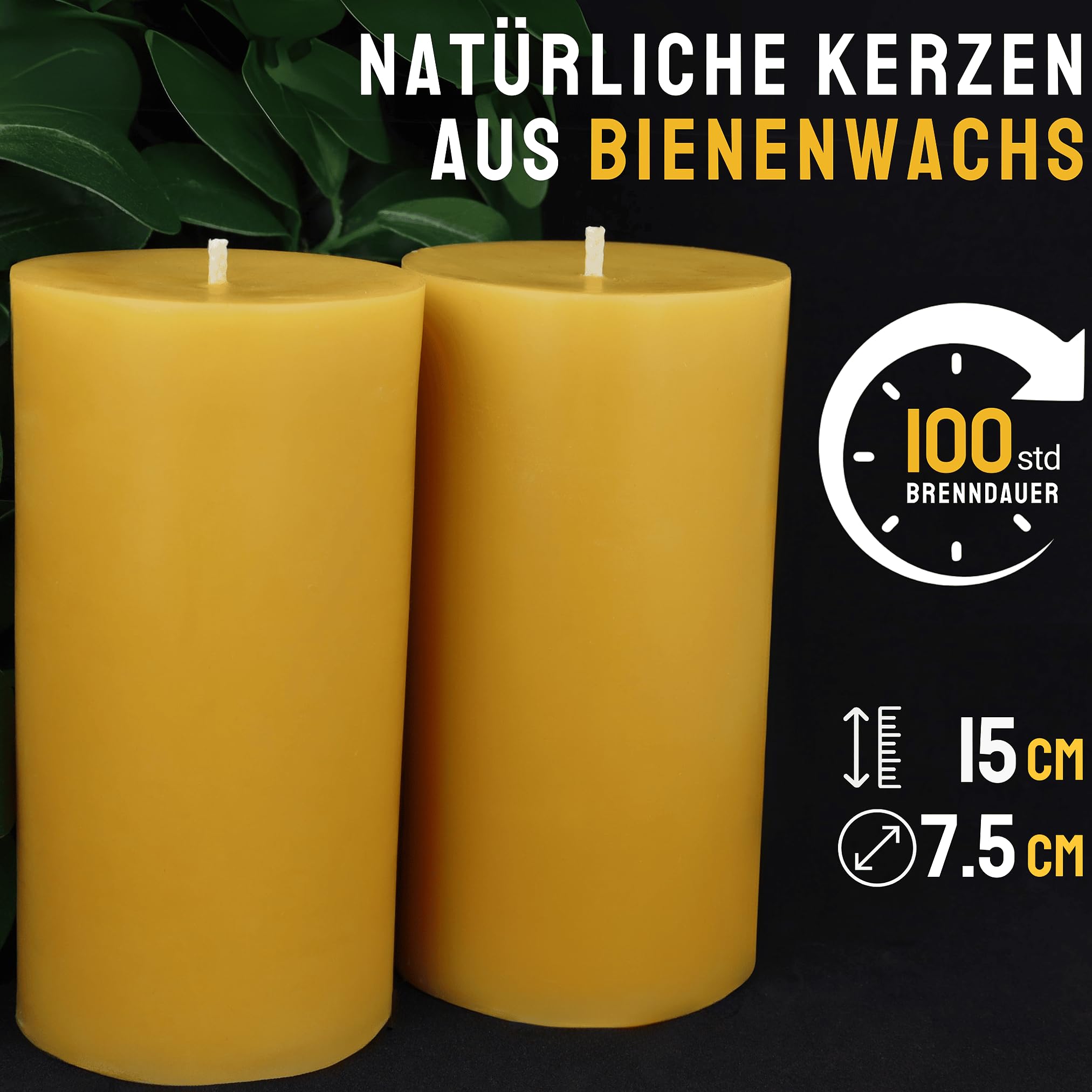 Danilovo Stumpenkerzen aus 100% Bienenwachs – Bienenwachskerzen in Premium-Qualität, Luxuriöses Accessoire für ein Gemütliches Zuhause (2 Stk., 7.5 x 15 cm, Brenndauer 100 Std)