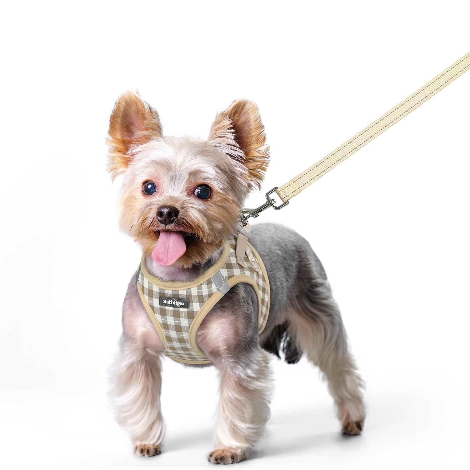 rabbitgoo Dog Harness Small Dog and Leash Set, Step-in Soft Mesh Puppy Harness with Reflective Strips, Lightweight Breathable Pet Vest for Walking Training, Beige Plaid, XS โ image 1