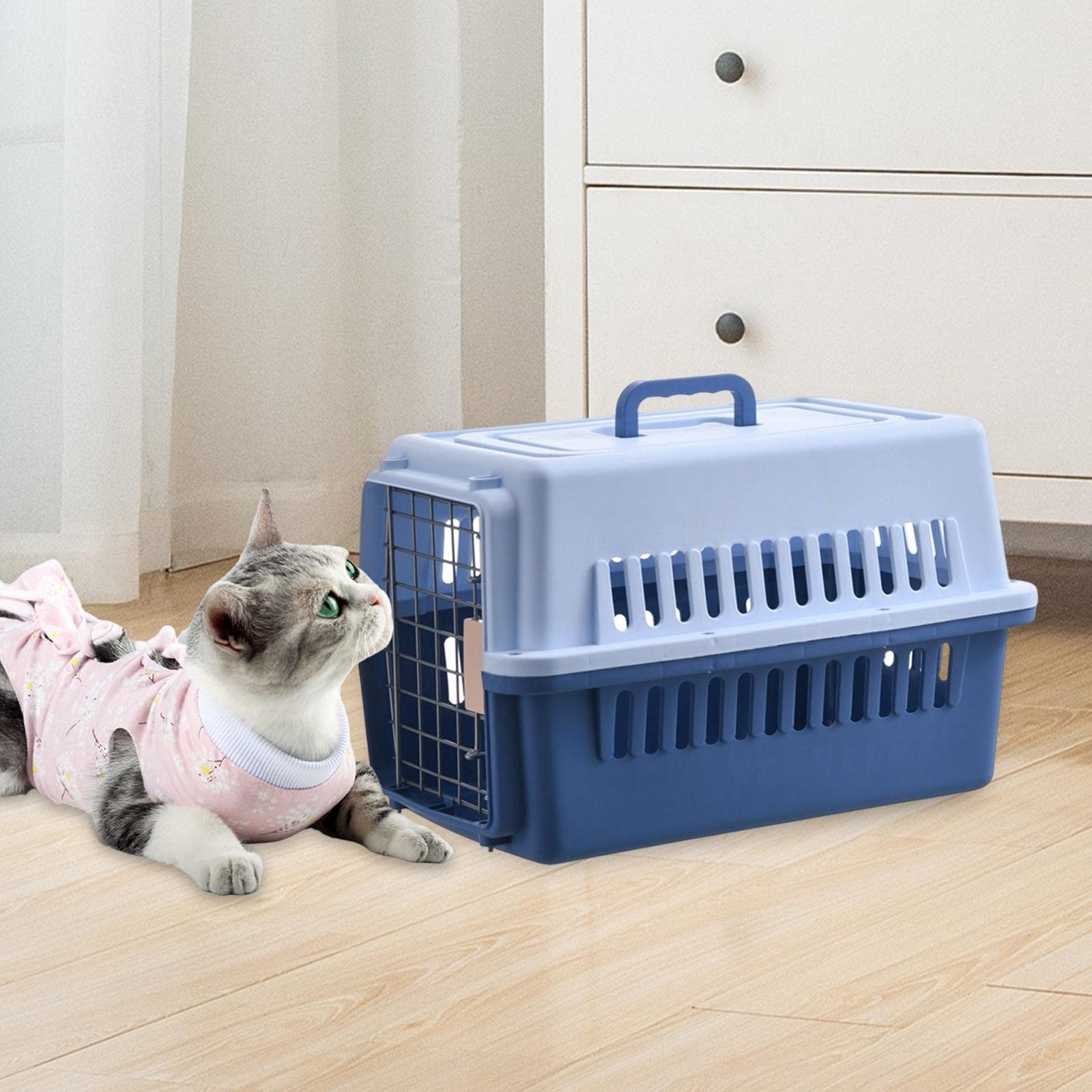 Tragbare Transportbox für Kleintiere – Leichte Box für Einfachen Transport, Blau