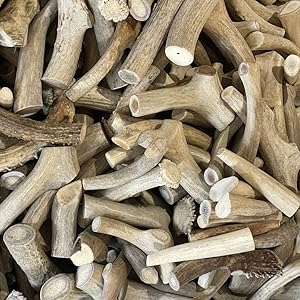 amazon antlers for dogs