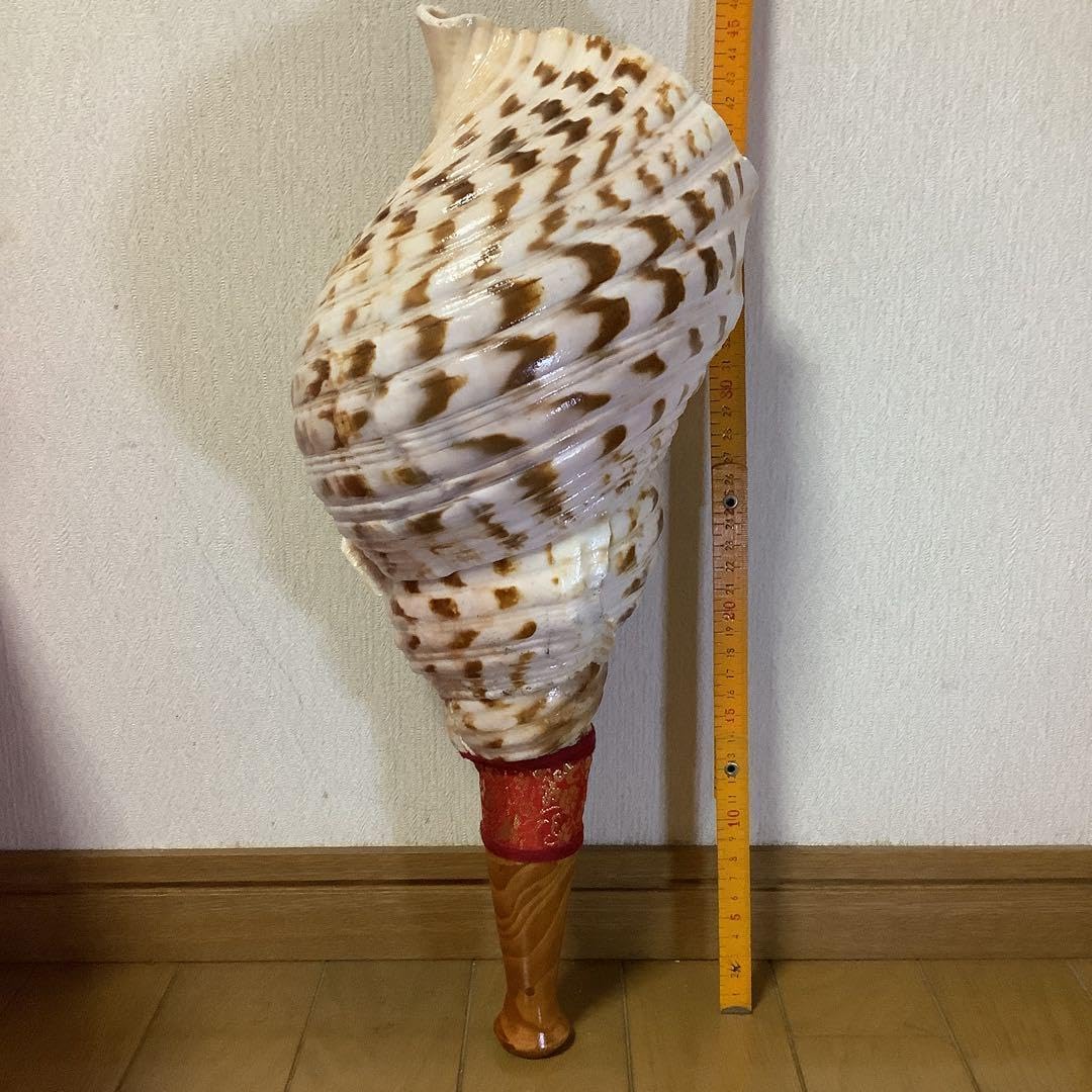 ヤフメリ31・法螺貝・山伏・修験者・金峯山・羽黒山・戦国武将・縁起物・安全登山 法螺貝 山伏 修験者 金峯山 羽黒山 戦国武将 縁起物 安全登山