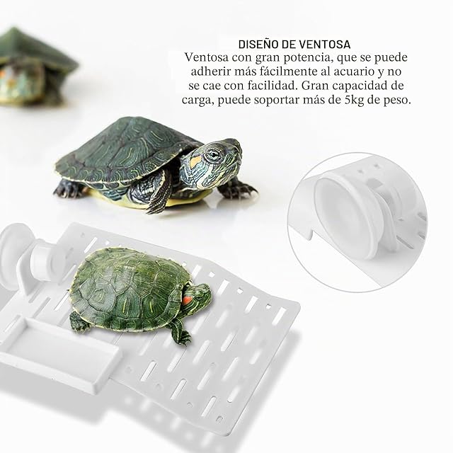 Foto 4 de 8 de Plataforma Flotante para Tortuga con Ventosas, Isla de Descanso para Reptiles Acuáticos