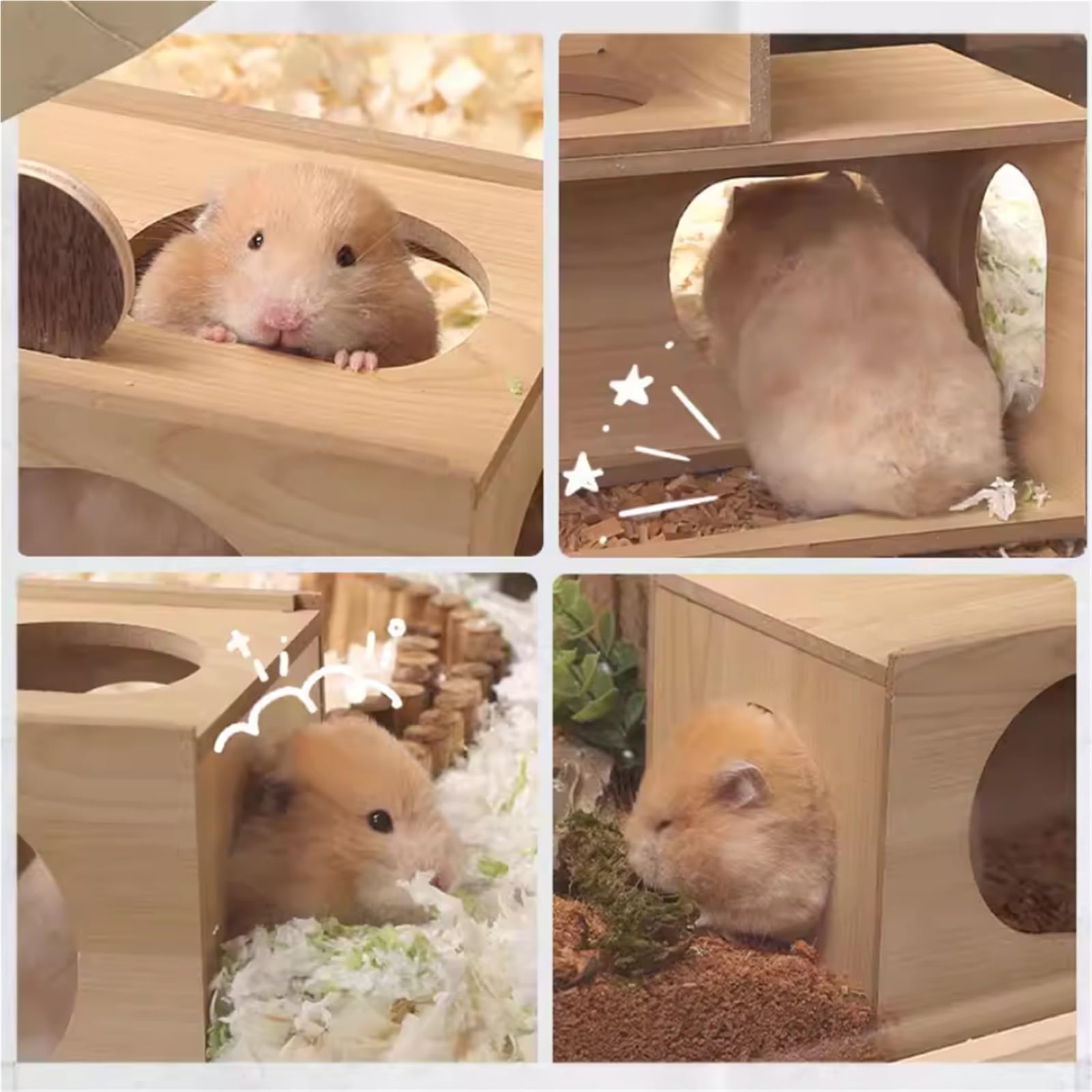 Cage à Hamsters Nid de Hamster Ours Doré Cachette Maison en Bois Petite(Grand)