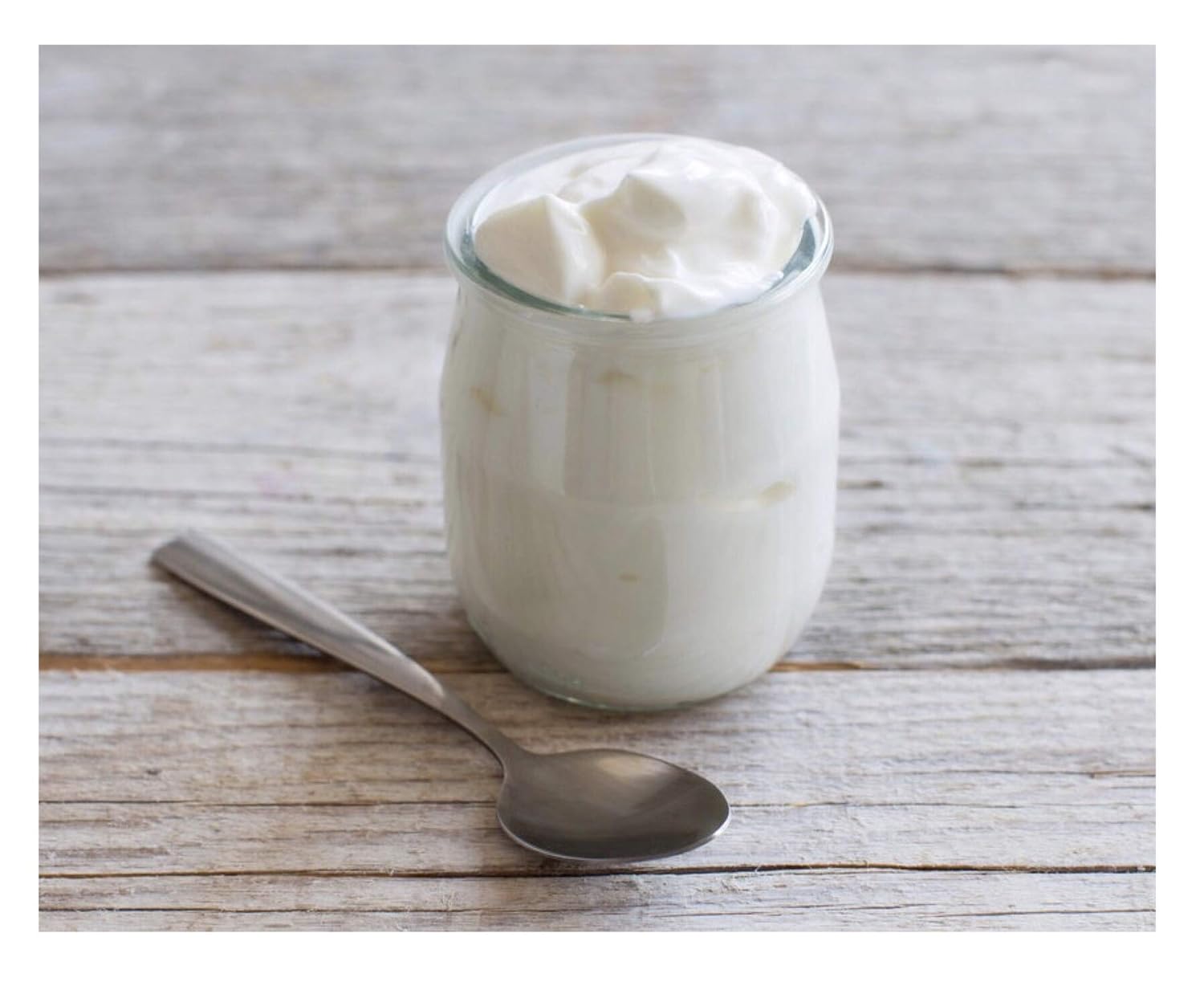 Positively Probiotic Sour Cream | Heirloom Mesophilic Starter Culture | 3 Pack