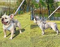 Vista 2 de PT-010 Arnés sin tirones para perro y mascota, arnés de entrenamiento para caminar con correa chaleco reflectante (azul, S)