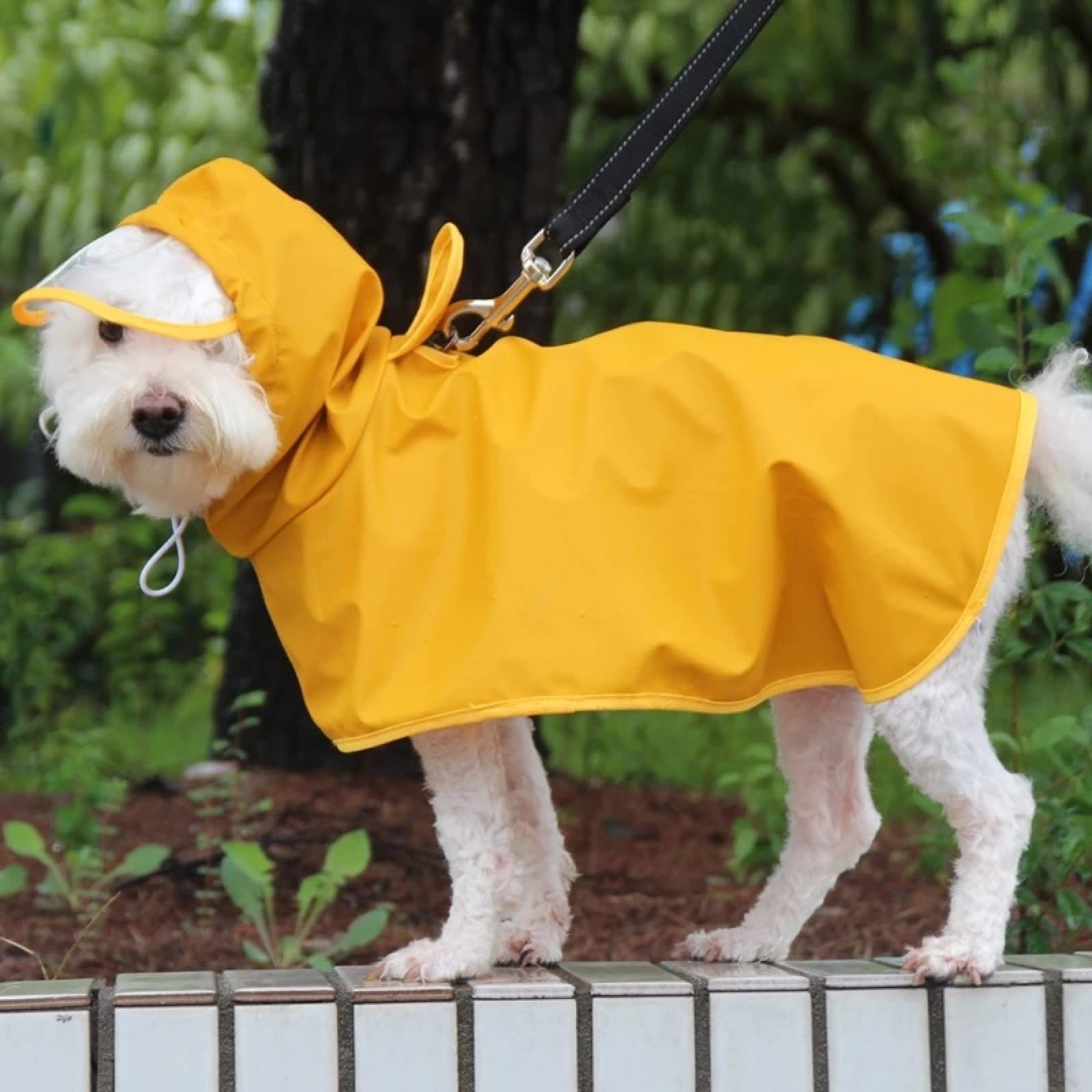 Mały Średni I Duży Pies Płaszcz Wodoodporny Płaszcz Przeciwdeszczowy Dla Zwierząt Outdoor Dog Płaszcz Przeciwdeszczowy Corgi Husky Sznaucer Mops Labrador Płaszcz Przeciwdeszczowy,Żółty,3XL 10-12,
