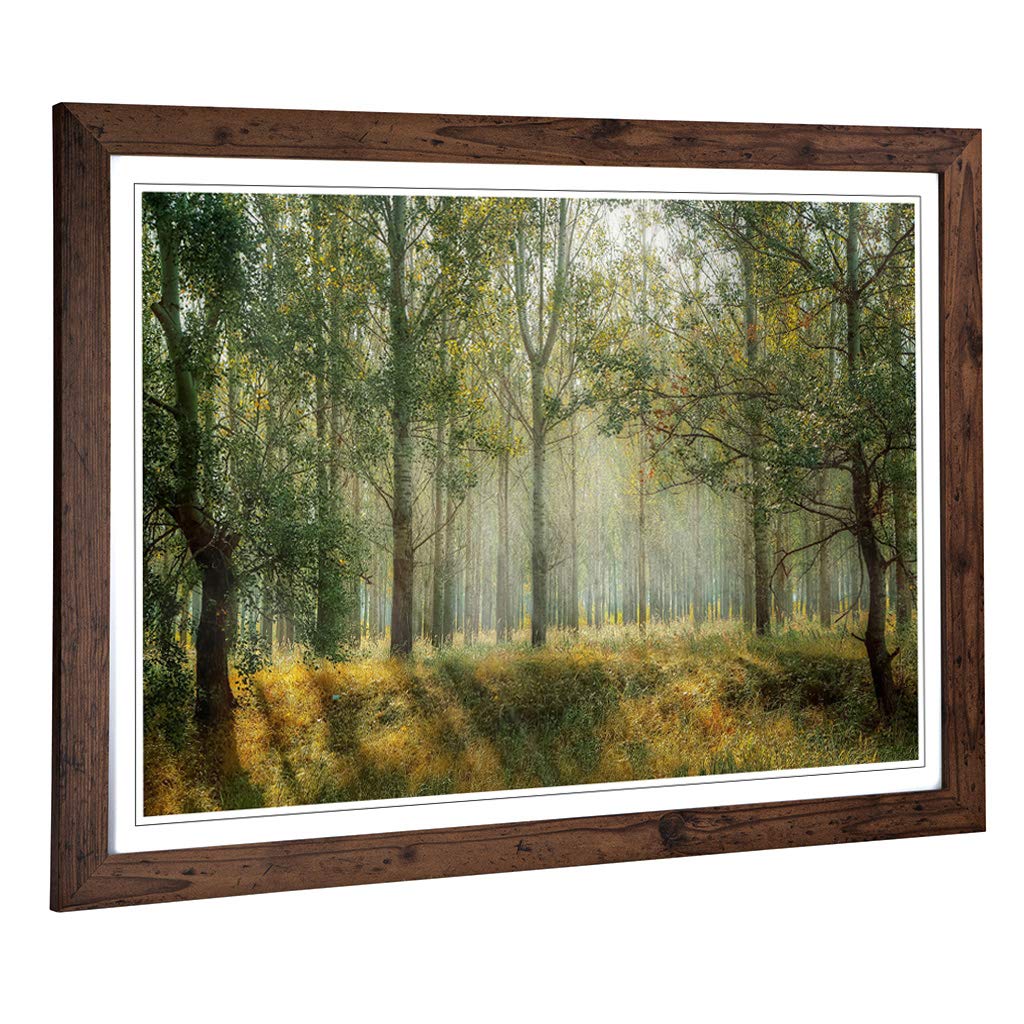 Big Box Art Framed Print of Landscape Forest Woodland View in The Spring Design | Wall Art Picture | Home Decor for Kitchen, Living Room, Bedroom, Hallway, Walnut, A2 / 24.5x18 Inch / 62x45cm