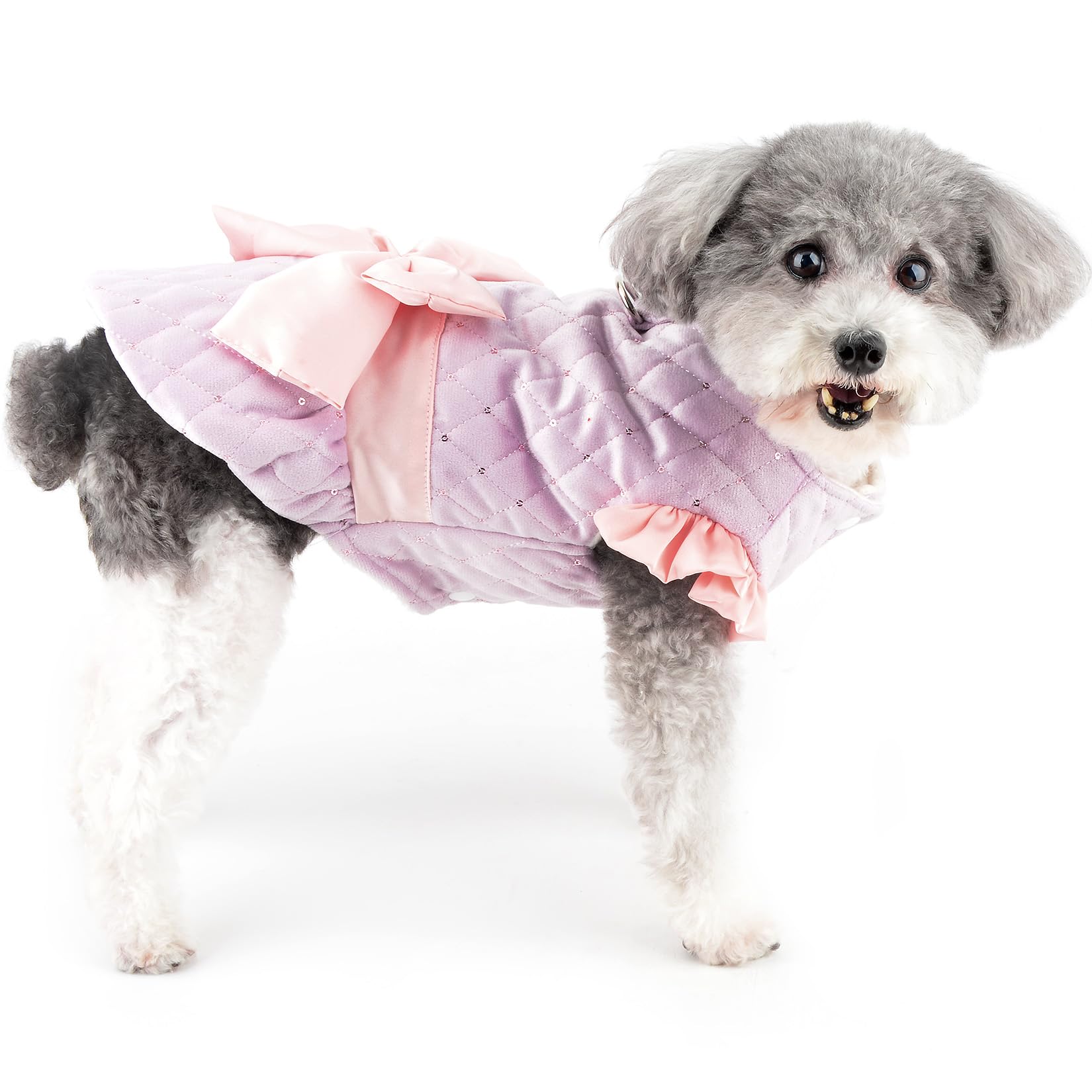 Laxury Dog Dress Blessing Babies【Bliss】