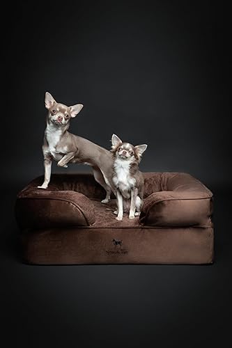 Miniatura 2 de NOAH & PAW Cama para perro, 28 x 23 x 11 pulgadas, camas ortopédicas para perros para mascotas de tamaño mediano, espuma viscoelástica de cáscara de