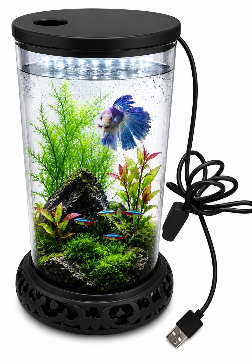 USB Powered Cylinder Fish Tank Acrylic Table Top Aquarium Tank with Multi Colour LED Light | 1.20 L Capacity | Decorative Fish Tank for Home & Office | 9 x 9 x 20 cm | Black-image-39