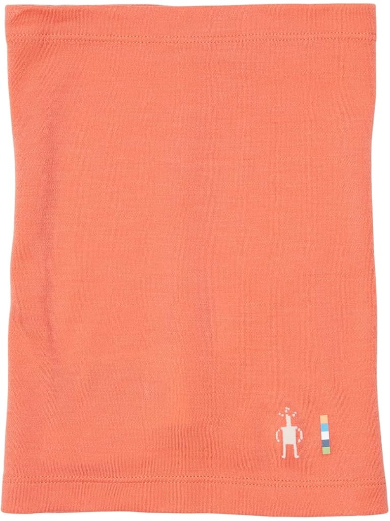 Red Smartwool Merino 250 Neck Gaiter (Little Kid/Big Kid)