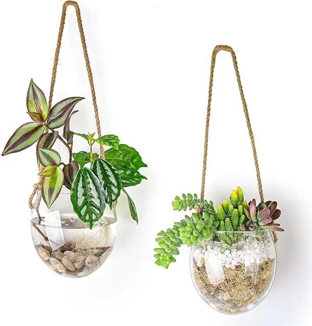 Ivolador Hanging Glass Terrarium Set of 2 for Hydroponic Plants & Home Decor