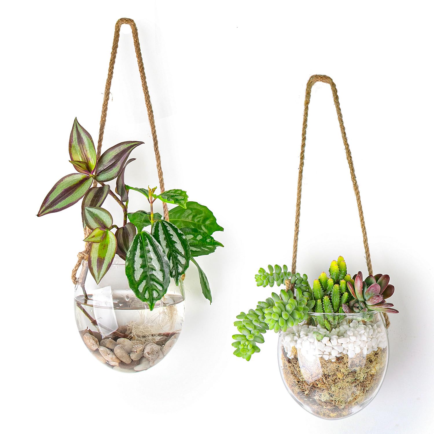 Propagation Station, Plants Terrarium, Plants Lover Gifts for Women,Plant Cutting Holder Home décor,Gifts for Women,House Warming New Home-2 Bowl Shape