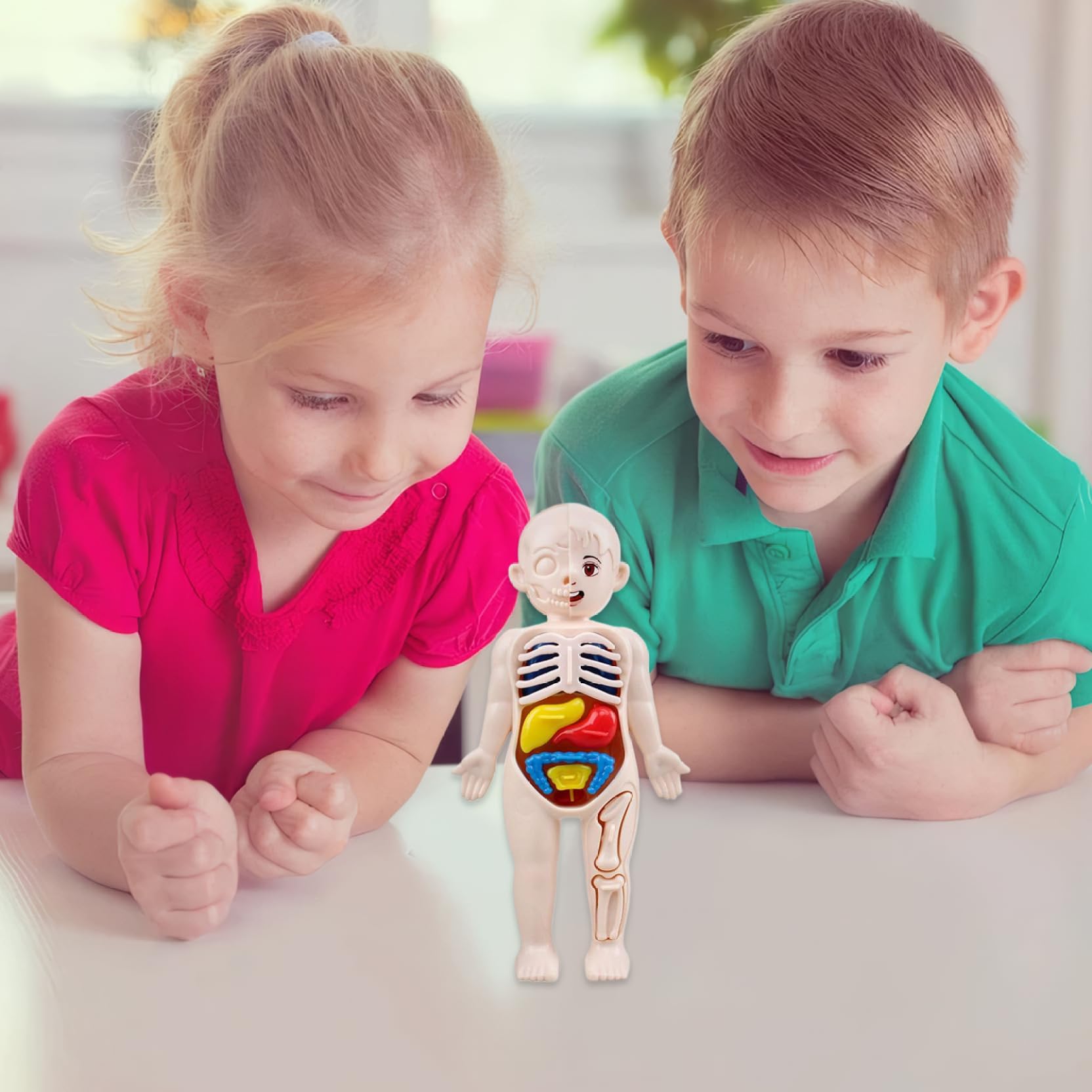 Xiaoxu Modelo del Cuerpo Humano para niños, Modelo anatómico de 7x4 Pulgadas con órganos Desmontables, Juguete Educativo científico de ABS sin Rebabas para niños Mayores de 3 años, anatomía